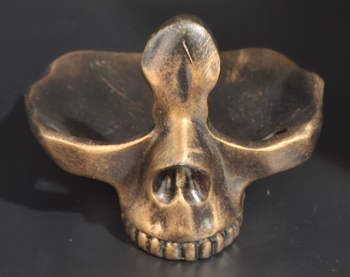 Gothic skull glasses - glasses, holder