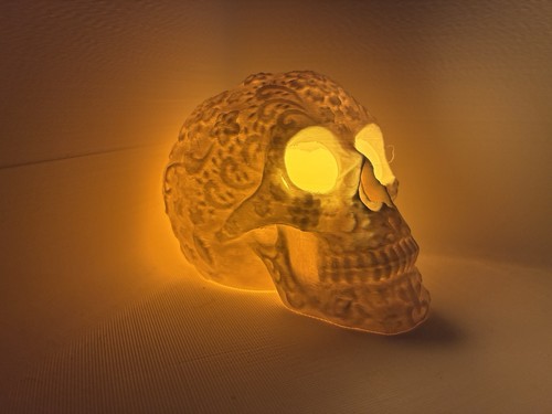 Skull candle holder ornamental - candle,