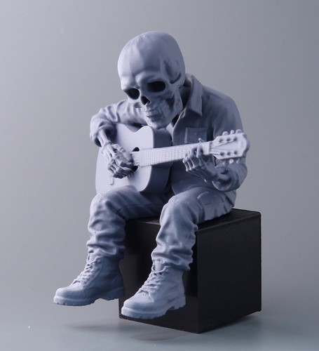 Guitar player skeleton shelf - player,