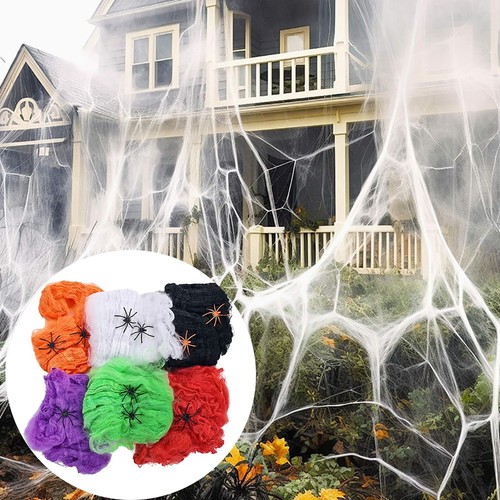 Halloween spider web with - halloween,