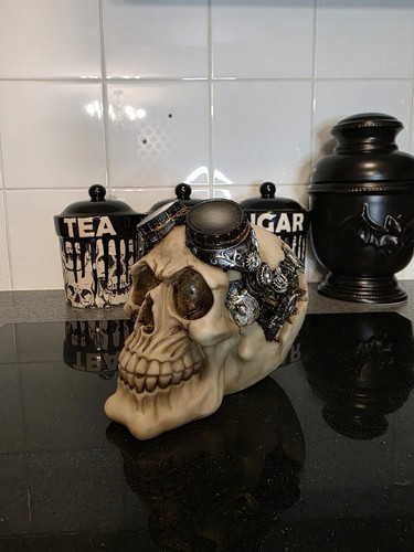 Gothic steampunk skull - steampunk,