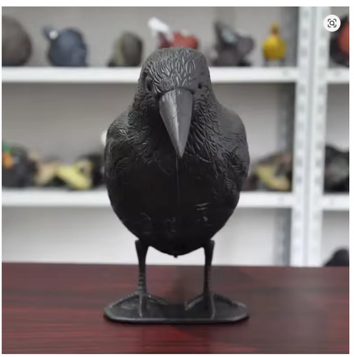 Gothic raven skull - raven,